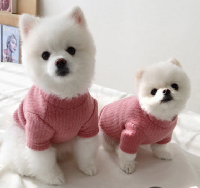 애견의류&소품아이템별제작