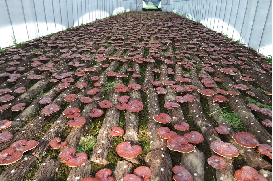 사용자 등록 이미지